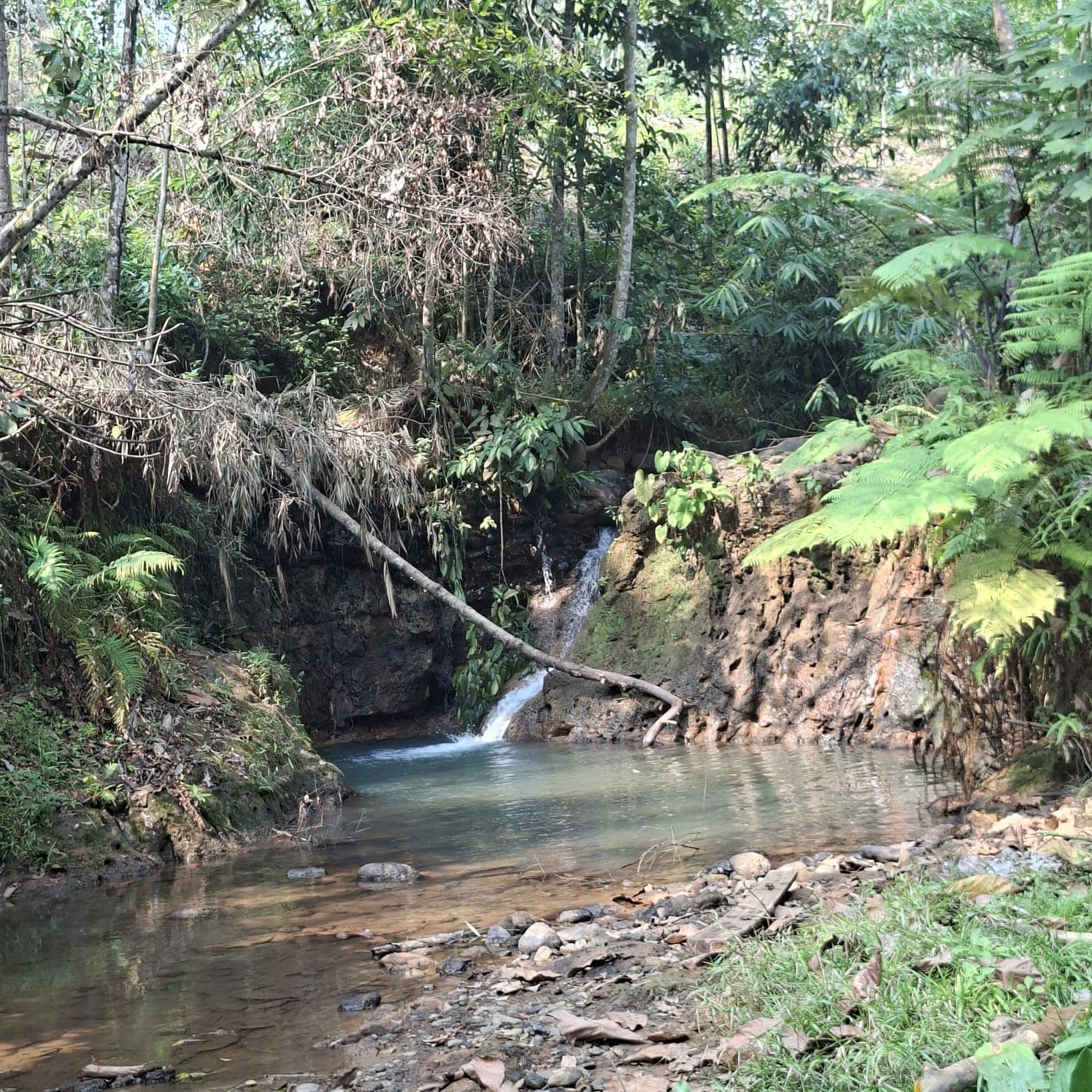 Curug Cibanteri di Desa Tembong, aliran air jernih di antara bebatuan dan pepohonan hijau.